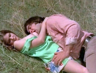 Boy Attempts to Entice maiden in Meadow (1970s Vintage)